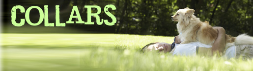 Rover Collars Image