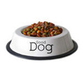 ROVER Dining