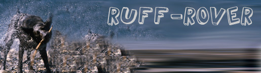 RUFF-ROVER Leads Image