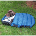 Alpine Sleeper