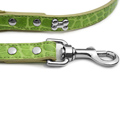 Green Crocodile Dog Leash