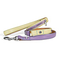 Yellow Zipper Dog Leash
