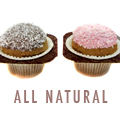 Macaroon Cupcake Dog Treats
