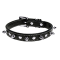 Black SPIKES Dog Collar