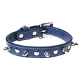 Navy SPIKES Dog Collar