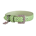 Spot Collection Green Collar
