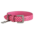 Spot Collection Pink Collar