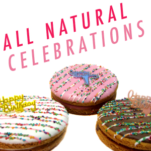 Happy Birthday Layer Cake Dog Treats