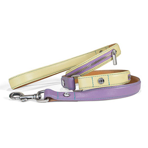 Yellow Zipper Dog Leash