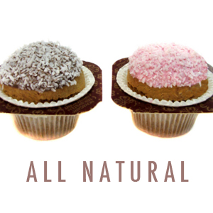 Macaroon Cupcake Dog Treats