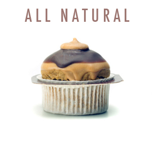 Peanut Butter Cupcake Dog Treats