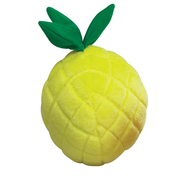Pineapple Chew Dog Toy