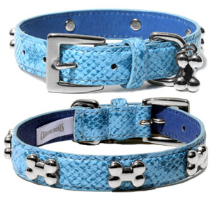 Blue Snakeskin Dog Collar