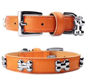 Orange Snakeskin Dog Collar