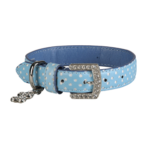 Spot Collection Blue Collar