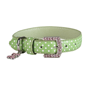 Spot Collection Green Collar