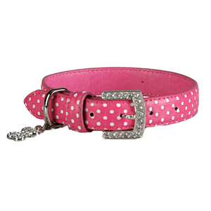 Spot Collection Pink Collar