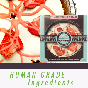 Strawberry Creme Pup-PIE